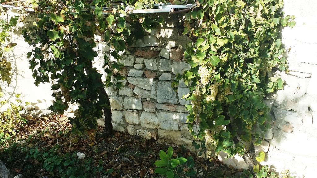 Sole E Fiori Di Sicilia Apartment Валдериче Екстериор снимка